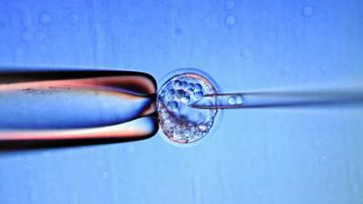 Debates on assisted reproduction should begin in the classroom