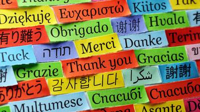 Why is the quality of our multilingual graduates so poor?