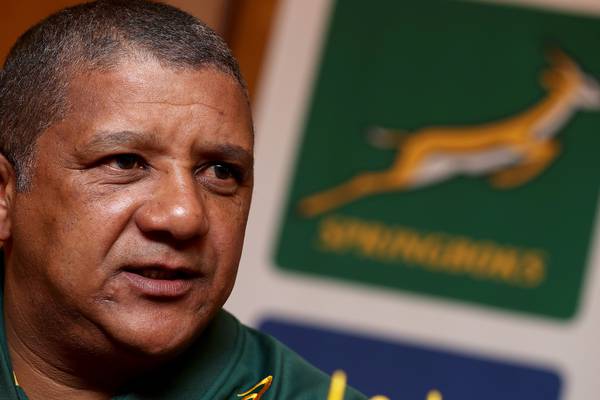Allister Coetzee says Ireland face a ‘solid’ Springboks defence