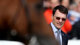 Midterm and Foundation among contenders for Epsom  Derby