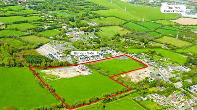 South Dublin site with potential scope for 200 homes guiding at €17m