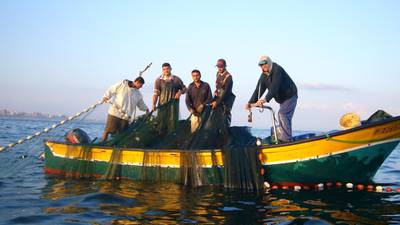 Gaza Letter: fishermen at sea with Israeli regulations