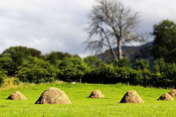 Making hay: the high finance world the GAA in 1950s Monaghan