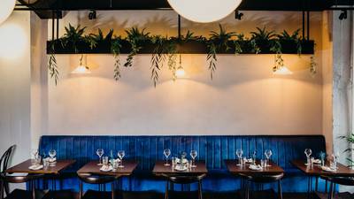 The Glass Curtain review: An unexpectedly mediocre meal at a new Cork restaurant