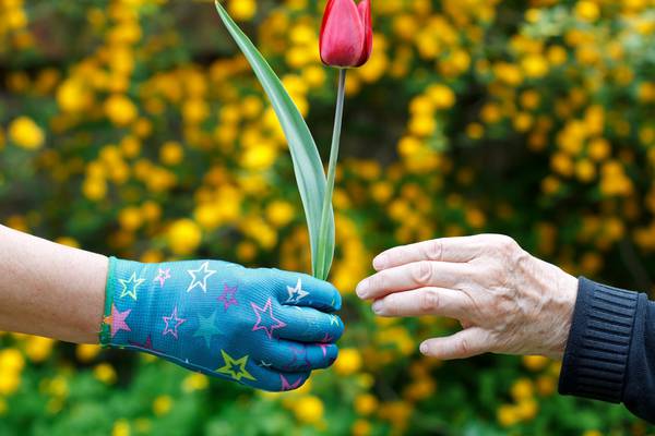 How to create a dementia-friendly garden