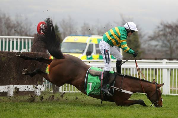 Champ crashes out at Cheltenham as Midnight Shadow sweeps up