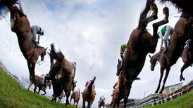 Turf Club keen to promote out of competition testing on horses