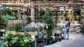 First Look: New five-acre eco-friendly garden centre and retail complex