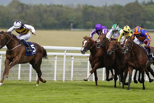 Healthy Irish challenge confirmed for St Leger at Doncaster