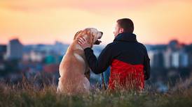 Few dog owners are aware of all their legal obligations, study finds