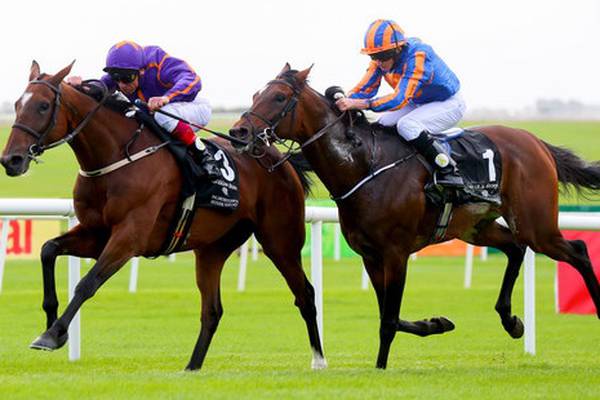 Wicklow Brave faces tall order to repeat Irish St Leger heroics