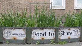 Guerrilla gardening in Yorkshire reclaims the streets – in a nutrious way
