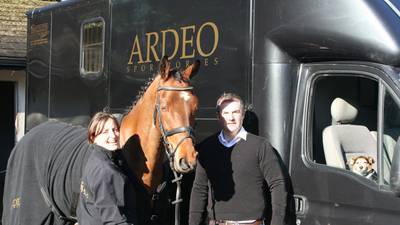 Wicklow couple selling sport horses worldwide