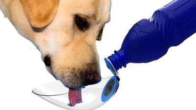 Travel Gear: Dog’s drinking bowl, mini water filters and a lightweight matress