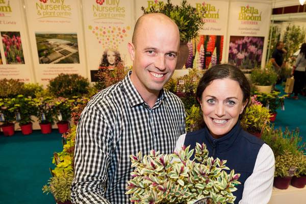 Branching out helped Tully Nurseries to grow again