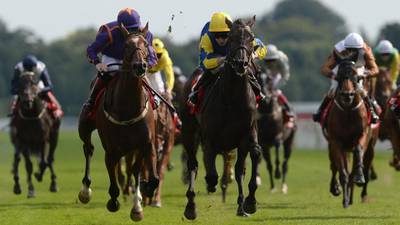 33-1 Litigant holds off Wicklow Brave to win York Ebor