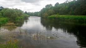 Irish waterways: the toll of years of draining, modification and engineering