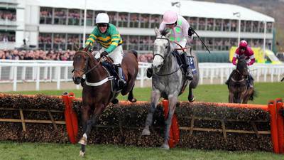 Champagne Fever ready to show his Cheltenham credentials