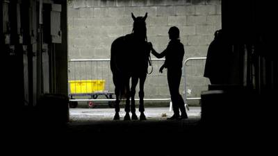 Direct export of horses to China moves a step closer