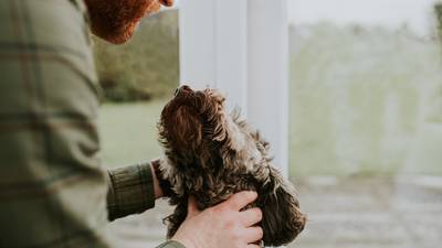 Dog DNA: Research finds they behave, age and mellow like we do