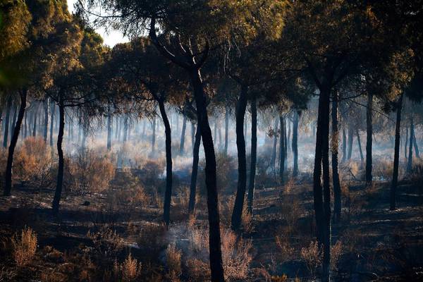 Hundreds still evacuated as Spanish wildfire begins to ease