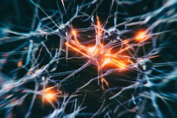 Multiple sclerosis: Common virus may play role in neurological illness