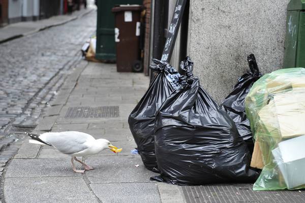 Una Mullally: Dublin is a dirty, smelly, sticky old town once again