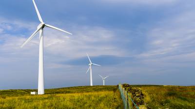 Bord na Móna windfarms worth €170m secure capacity in State auction scheme