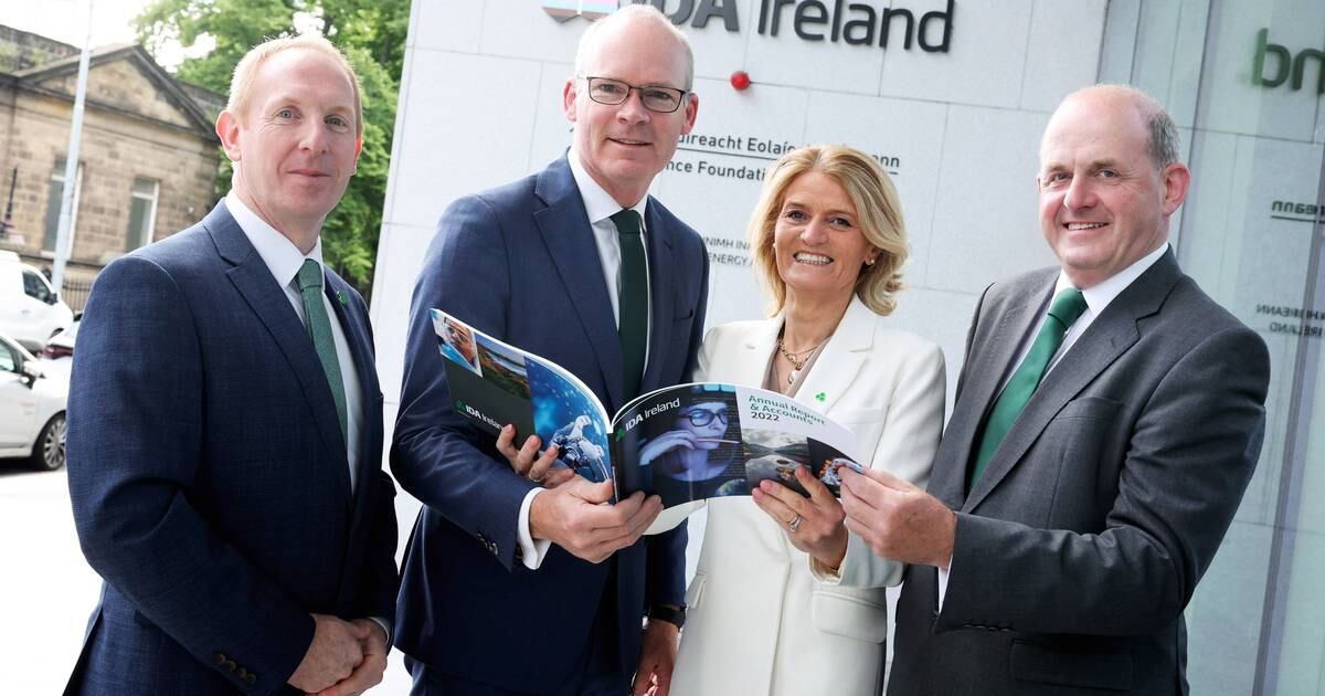 Проекты IDA могут создать до 12 000 рабочих мест и включить 52 новые компании в республику — The Irish Times