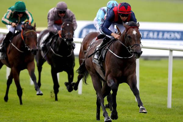 Steel Bull looking for change of fortune at Sandown