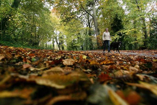 In praise of Autumn: Ireland is not a summery nation