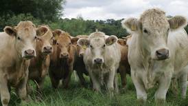 ‘Where’s the beef, ye vegan’: Farmers heckle Taoiseach in Cork