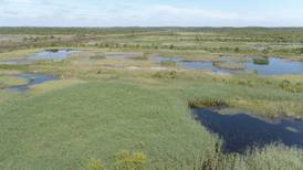 At least 7.5m tonnes of carbon captured by peatlands rehabilitated in 2021