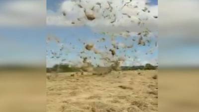 Kildare farmer captures mini-tornado on video