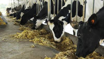 How Keenan Systems plans to feed China’s cows efficiently