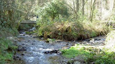 Gold found but no rush expected to surveyed Irish rivers