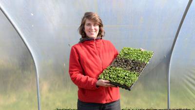 Farm to fork: The no-dig vegetable farmer of Dromone