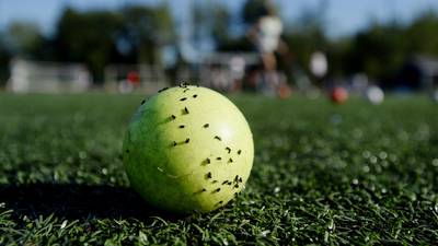 Dutch findings point to health danger of rubber infill on synthetic pitches