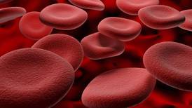 Irish and UK scientists use stem cells to grow red blood cells