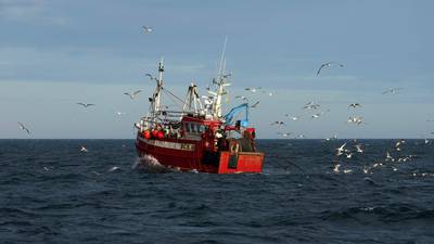 Irish fishing industry backs EU tying fishing rights to trade deal