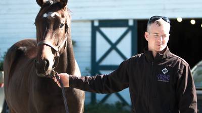 Wexford-born horseman races to big break in Virginia