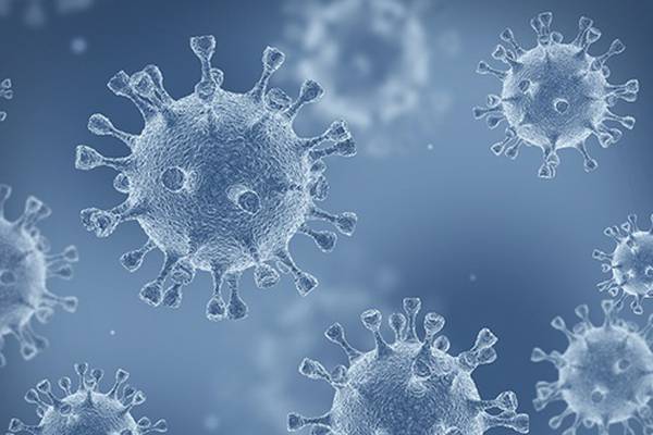 Covid-19: immunity to coronavirus ‘may last years’
