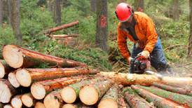 Bord na Móna cited in landmark EU case on use of forest biomass