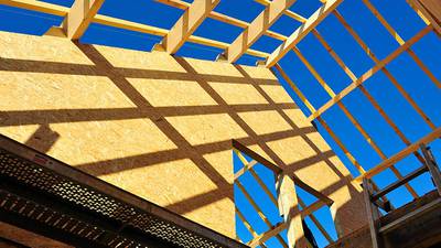 Timber homes could help alleviate housing crisis, say foresters