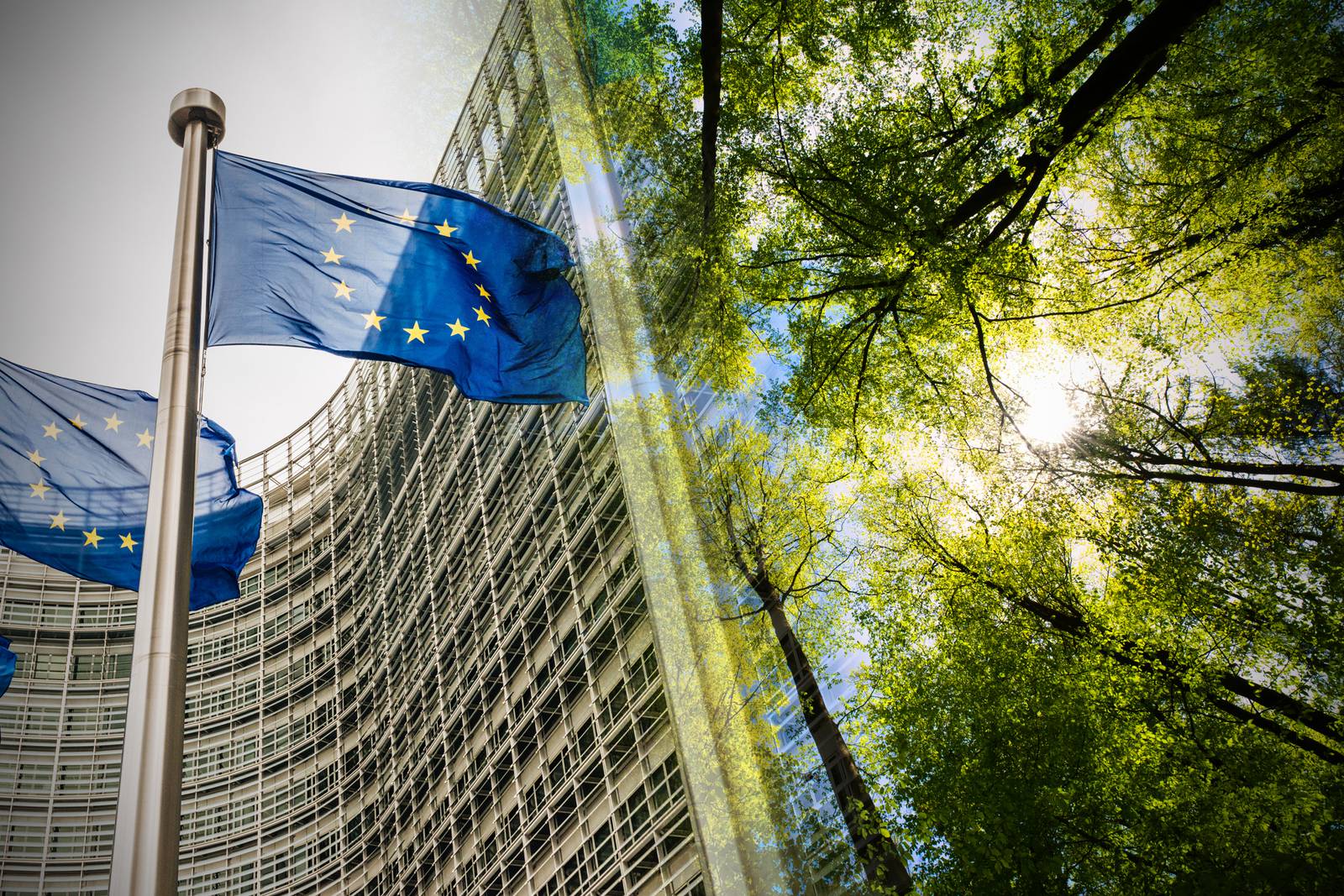 European Parliament passes flagship nature law despite political backlash