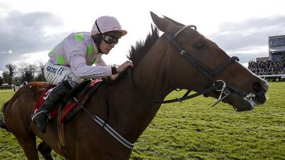 Willie Mullins’ vet could face a 10-year ban