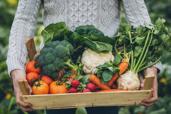 Why we should all be buying our fruit and veg directly from local farmers