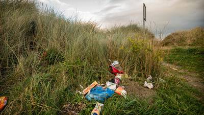 Litter poses greater threat than  pollution to  coastline, audit finds