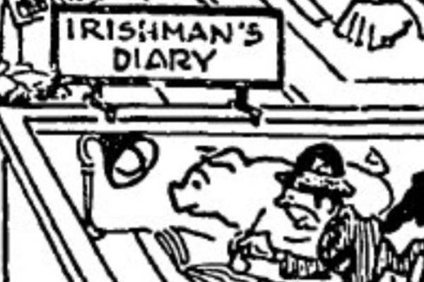 ID Required: An old cartoon causes the Irishman’s Diarist to question his identity