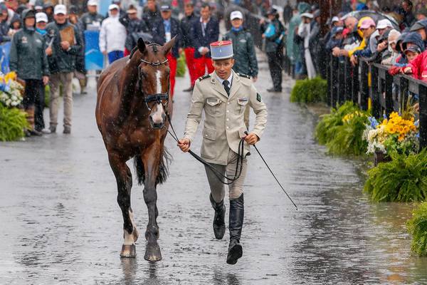 Hurricane Florence stops events at World Equestrian Games